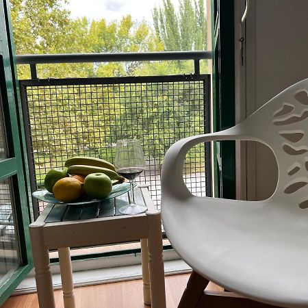 Apartamento Un Rincón con vistas al parque. Wifi junto a Catedral. Logroño Exterior foto
